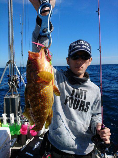 ARCADIAⅡ (アルカディアⅡ) 釣果