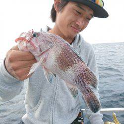 ARCADIAⅡ (アルカディアⅡ) 釣果