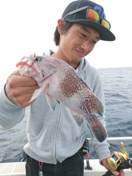 ARCADIAⅡ (アルカディアⅡ) 釣果