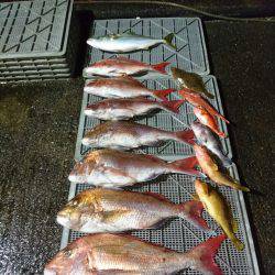 ARCADIAⅡ (アルカディアⅡ) 釣果