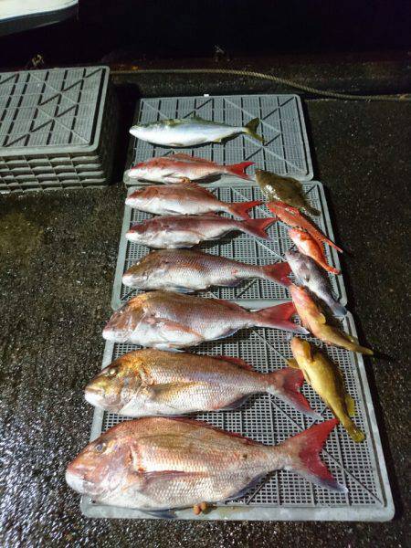 ARCADIAⅡ (アルカディアⅡ) 釣果