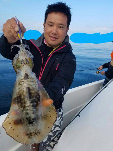 ソルトウォーターガイドフレンズ 釣果