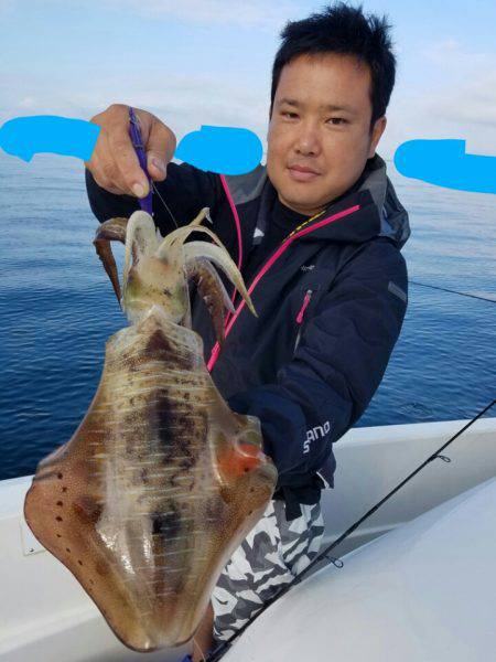 ソルトウォーターガイドフレンズ 釣果