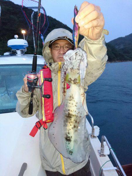 ARCADIAⅡ (アルカディアⅡ) 釣果