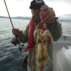 ARCADIAⅡ (アルカディアⅡ) 釣果