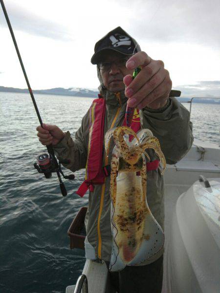 ARCADIAⅡ (アルカディアⅡ) 釣果