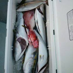 エンペラー 釣果