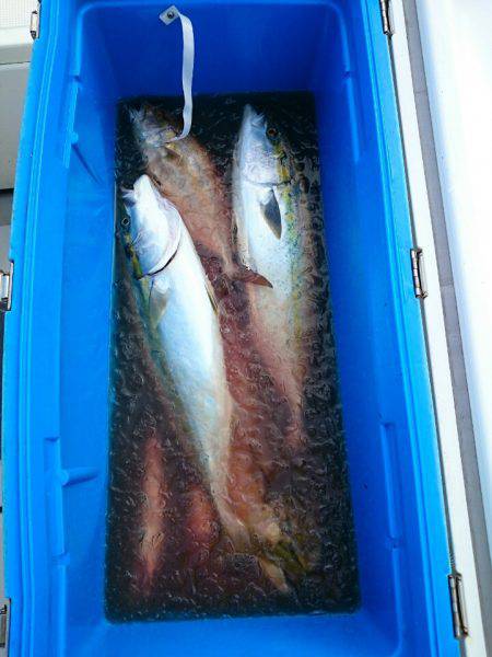 エンペラー 釣果