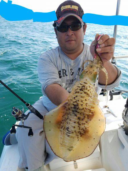 ソルトウォーターガイドフレンズ 釣果