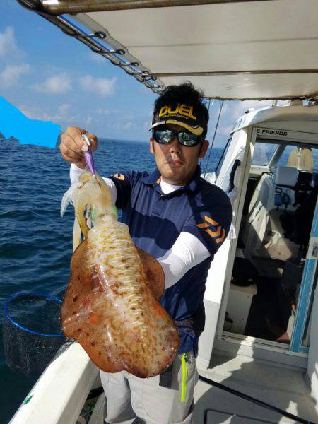 ソルトウォーターガイドフレンズ 釣果