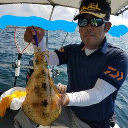 ソルトウォーターガイドフレンズ 釣果