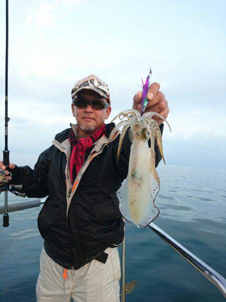 ARCADIAⅡ （アルカディアⅡ） 釣果