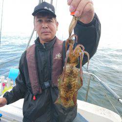 ARCADIAⅡ （アルカディアⅡ） 釣果