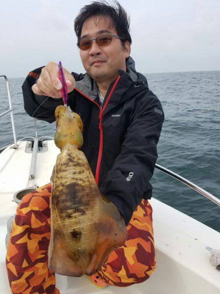 ソルトウォーターガイドフレンズ 釣果