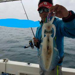 ソルトウォーターガイドフレンズ 釣果