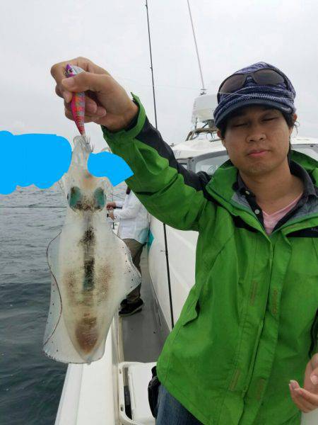 ソルトウォーターガイドフレンズ 釣果