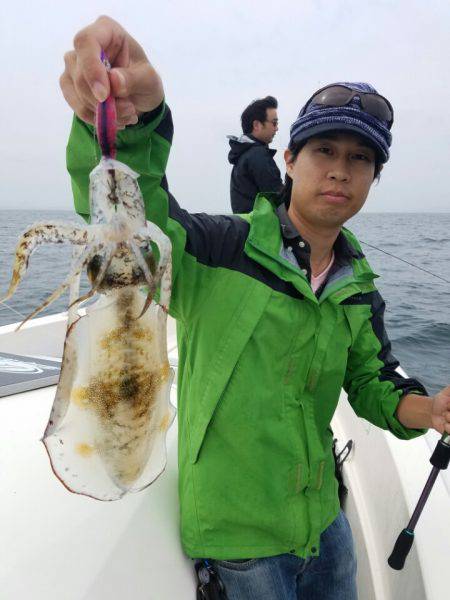 ソルトウォーターガイドフレンズ 釣果