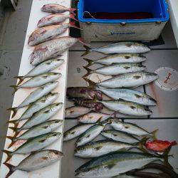 エンペラー 釣果