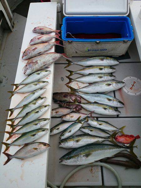 エンペラー 釣果