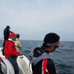 ソルトウォーターガイドフレンズ 釣果