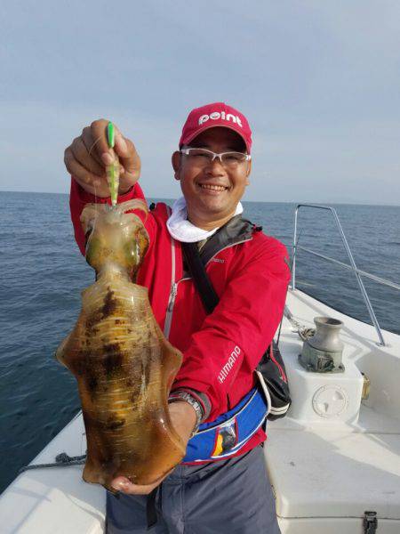 ソルトウォーターガイドフレンズ 釣果