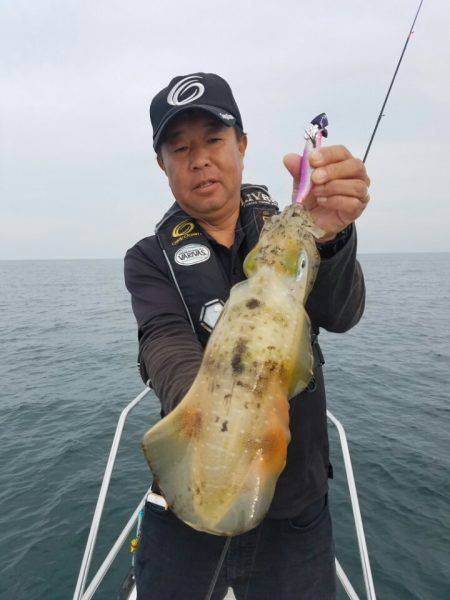 ソルトウォーターガイドフレンズ 釣果