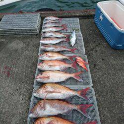 ARCADIAⅡ （アルカディアⅡ） 釣果