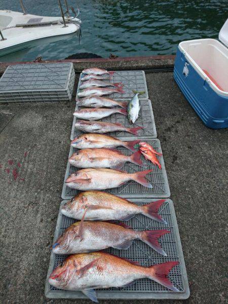 ARCADIAⅡ （アルカディアⅡ） 釣果