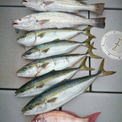 エンペラー 釣果