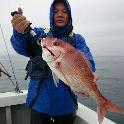 エンペラー 釣果