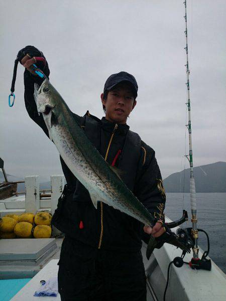 エンペラー 釣果