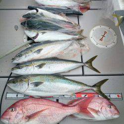 エンペラー 釣果