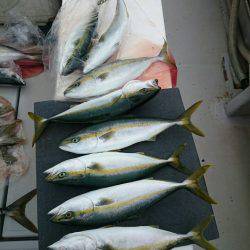 エンペラー 釣果