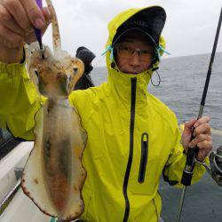 ソルトウォーターガイドフレンズ 釣果