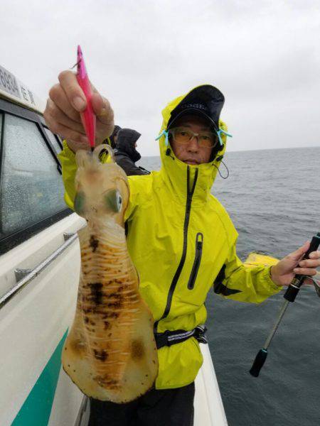 ソルトウォーターガイドフレンズ 釣果