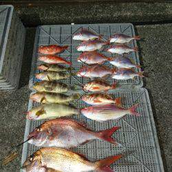 ARCADIAⅡ (アルカディアⅡ) 釣果