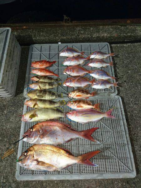 ARCADIAⅡ (アルカディアⅡ) 釣果