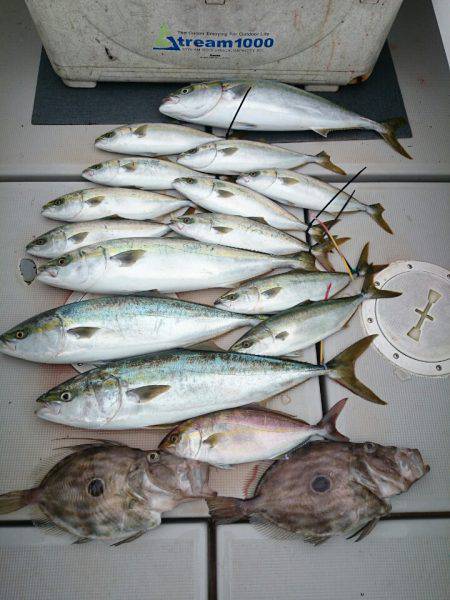 エンペラー 釣果