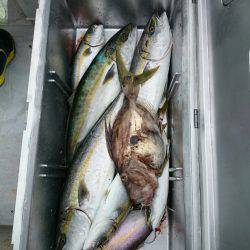 エンペラー 釣果