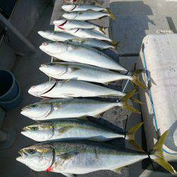 エンペラー 釣果