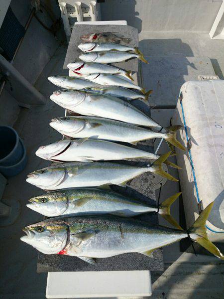 エンペラー 釣果