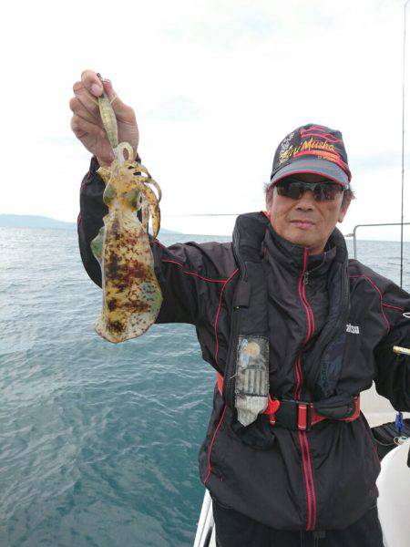 ARCADIAⅡ (アルカディアⅡ) 釣果