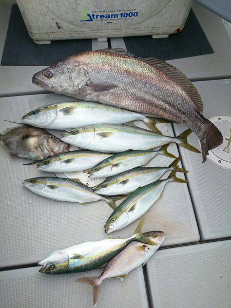 エンペラー 釣果