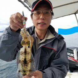 ソルトウォーターガイドフレンズ 釣果