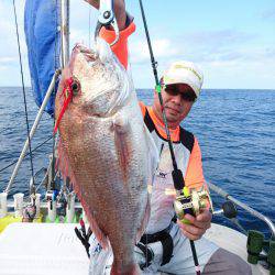 ARCADIAⅡ (アルカディアⅡ) 釣果