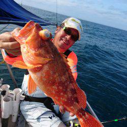 ARCADIAⅡ (アルカディアⅡ) 釣果