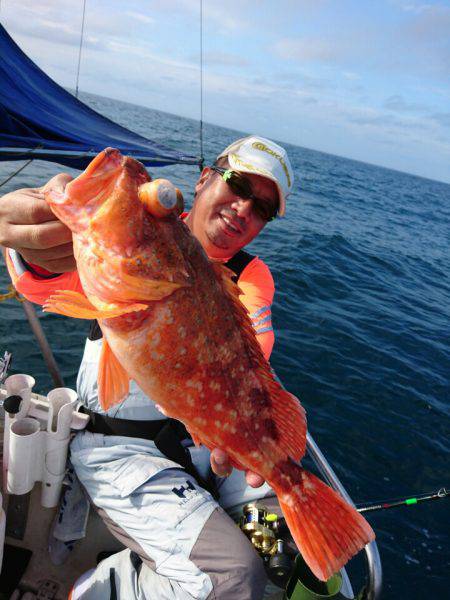 ARCADIAⅡ (アルカディアⅡ) 釣果