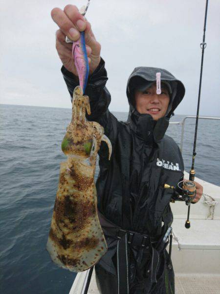 ARCADIAⅡ (アルカディアⅡ) 釣果