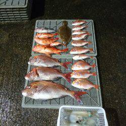 ARCADIAⅡ (アルカディアⅡ) 釣果