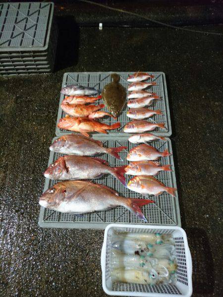 ARCADIAⅡ (アルカディアⅡ) 釣果